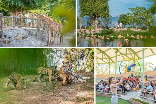 빈원더스 사파리 풍경